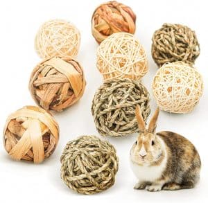 Test : jouets à mâcher Reyshin pour petits animaux